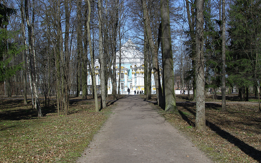 Дорожка в парке