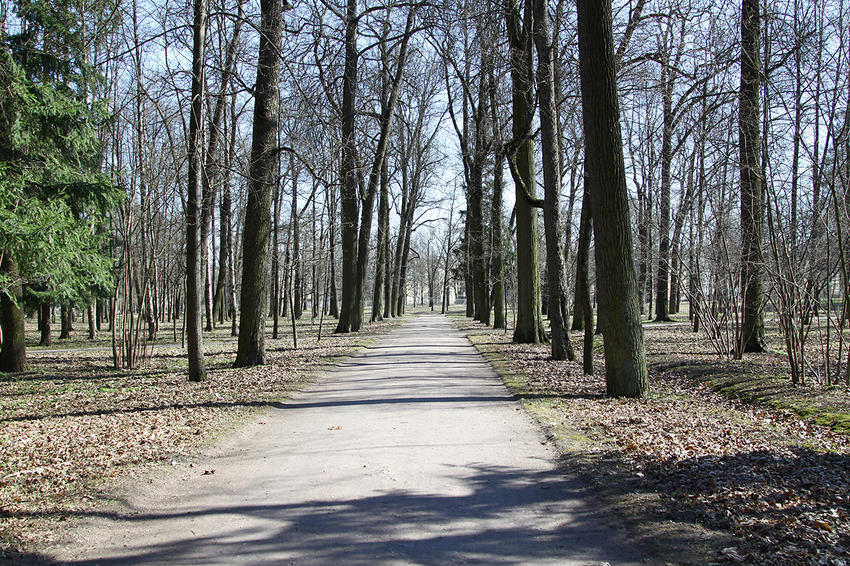 Дорожка в парке