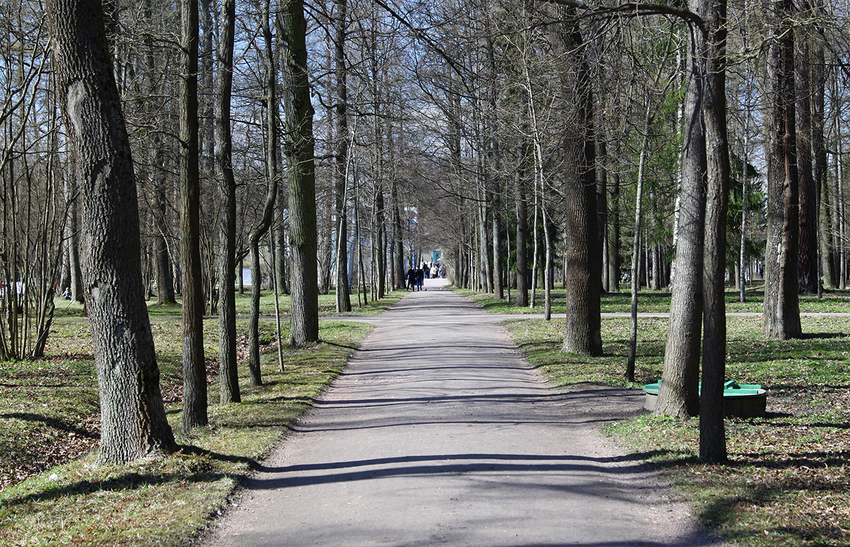 Екатерининский парк