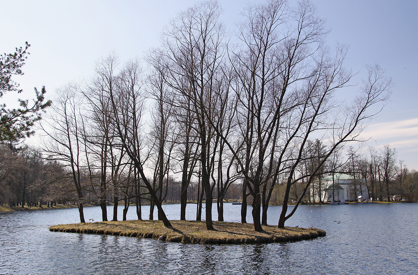 Большой пруд