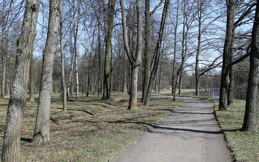 Дорожка в парке