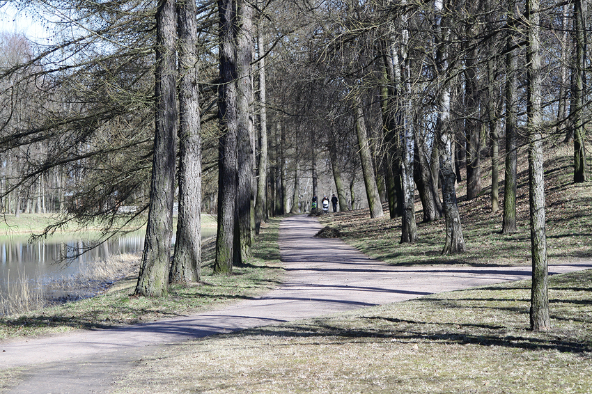 Екатерининский парк