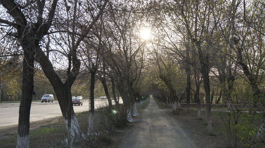 На проспекте Мира.