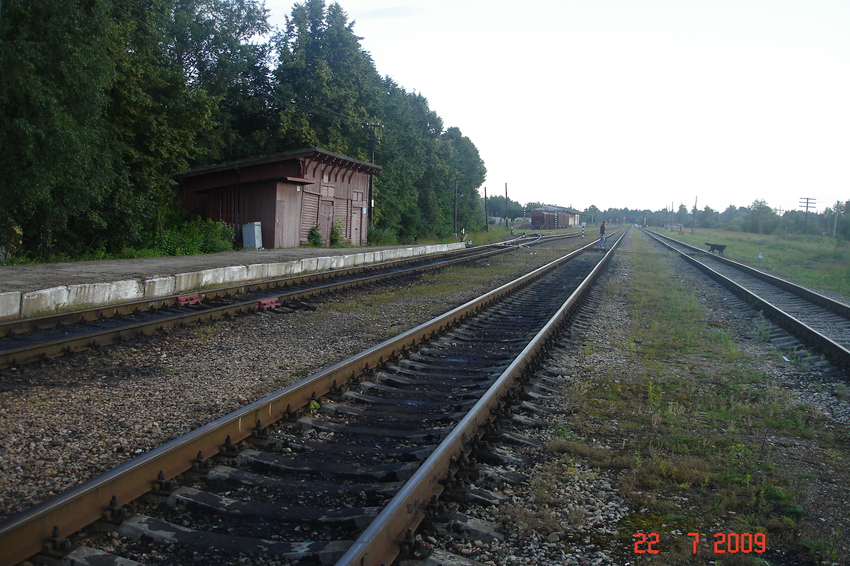 Станция Фирово