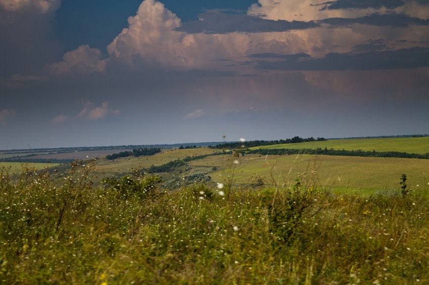 Войничево