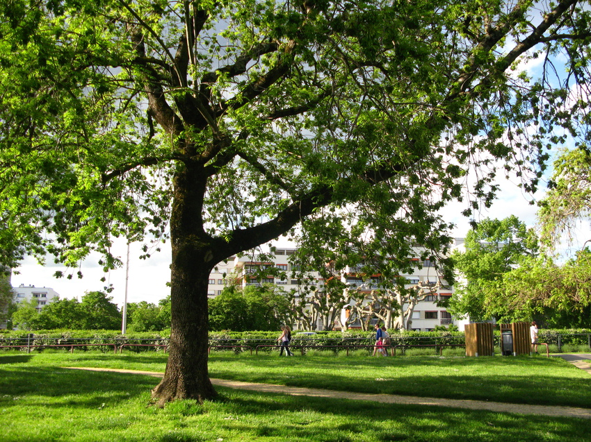 Annecy-le-Vieux 2014