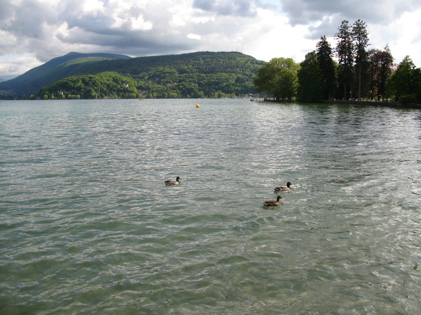 Annecy-le-Vieux 2014
