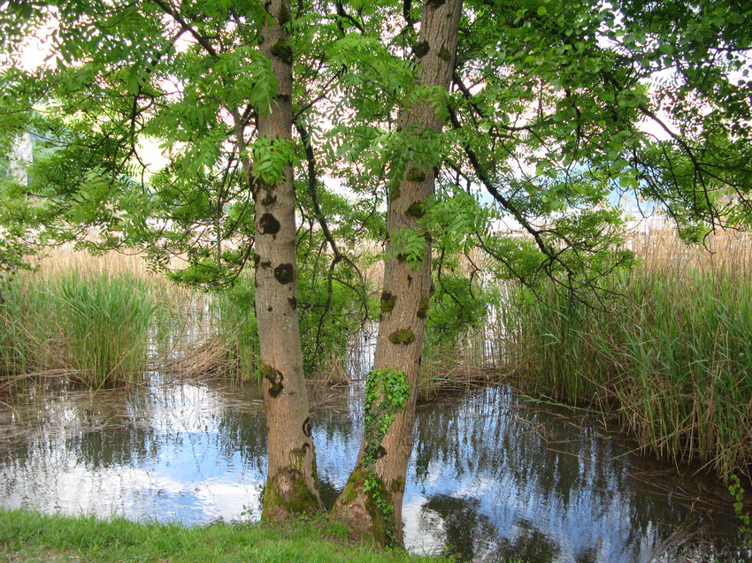 Annecy-le-Vieux 2015