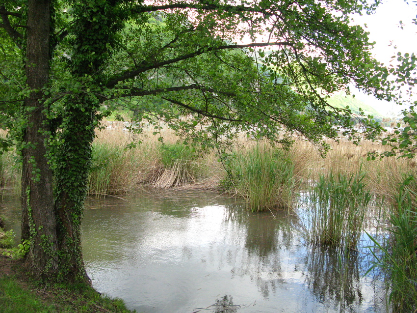 Annecy-le-Vieux 2015