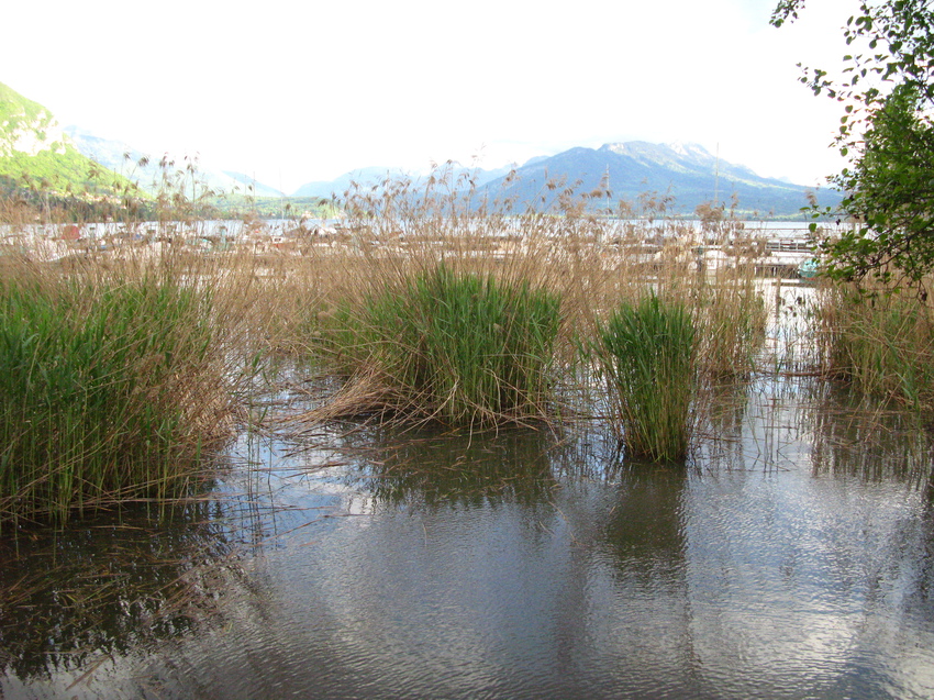 Annecy-le-Vieux 2014