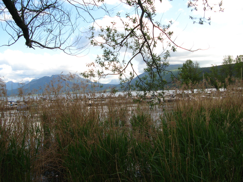 Annecy-le-Vieux 2015