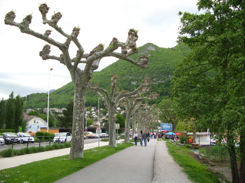 Annecy-le-Vieux 2015