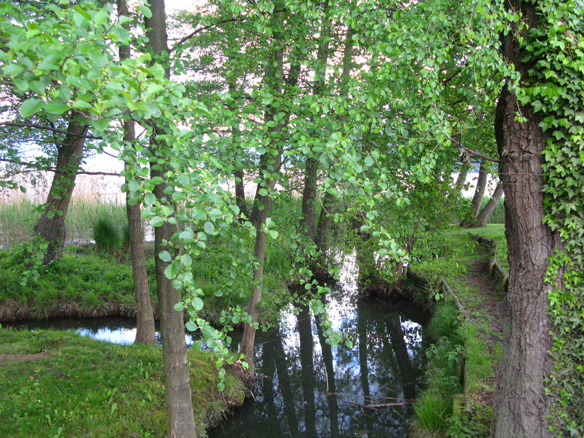Annecy-le-Vieux 2015