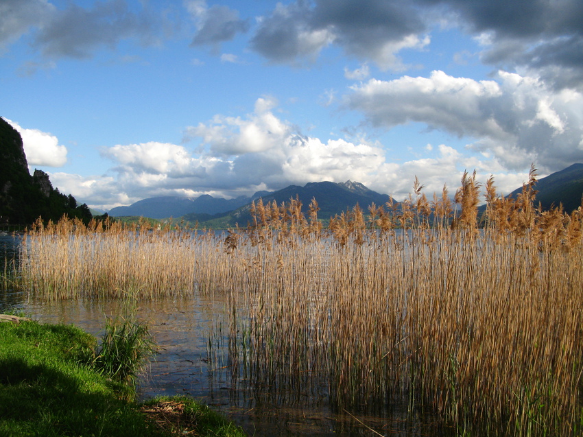 Annecy-le-Vieux 2015