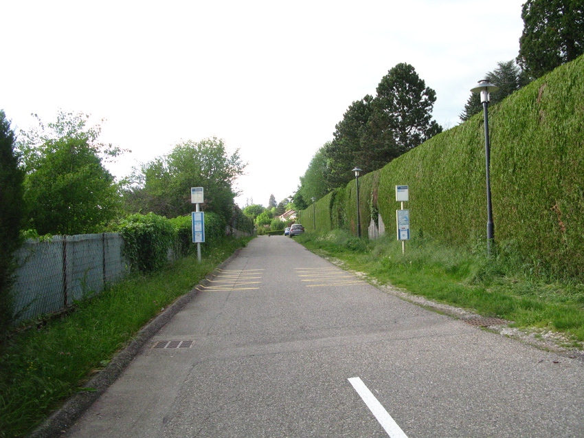 Annecy-le-Vieux 2015