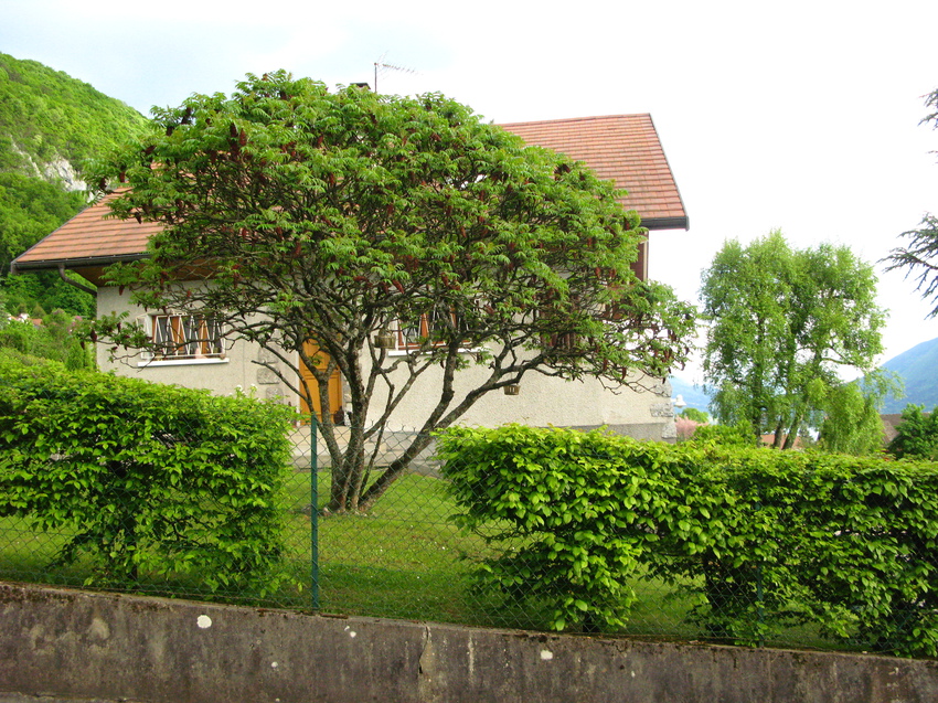 Annecy-le-Vieux 2015