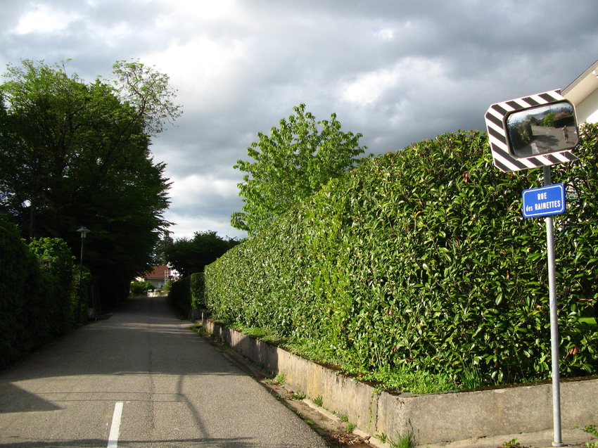 Annecy-le-Vieux 2015