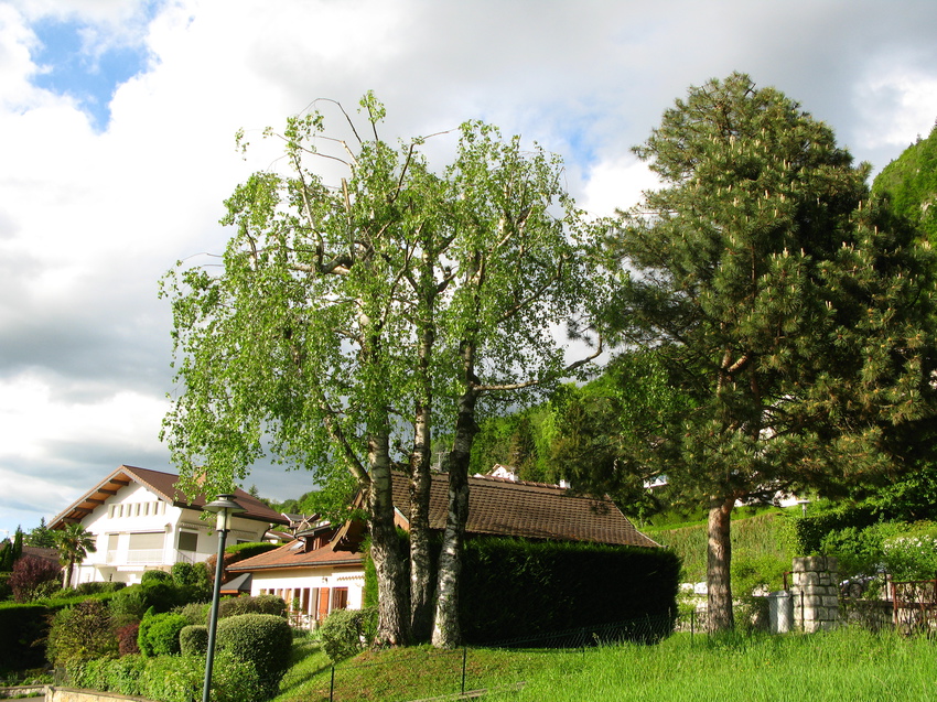 Annecy-le-Vieux 2015