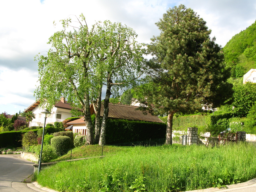 Annecy-le-Vieux 2015