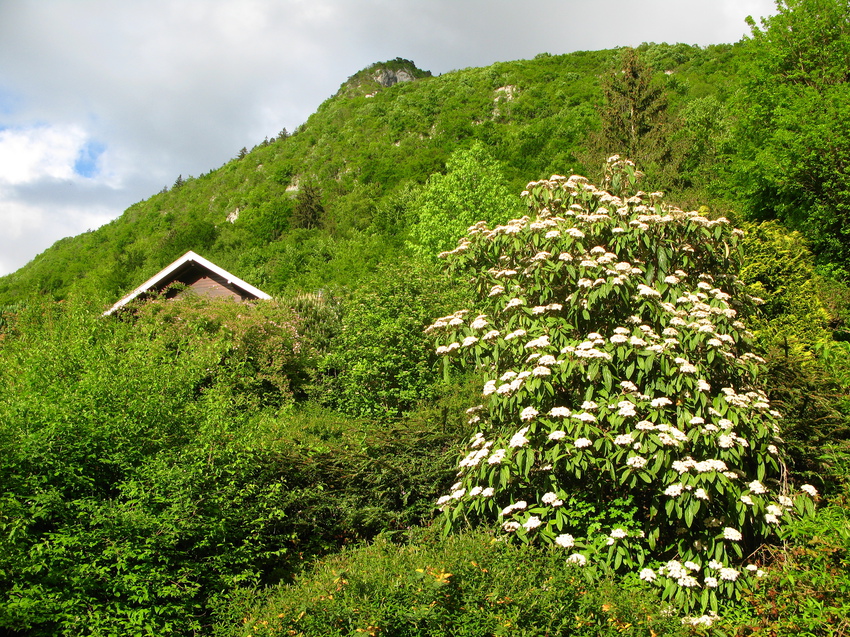 Annecy-le-Vieux 2015
