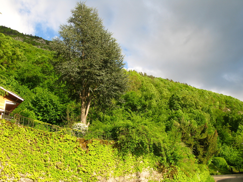 Annecy-le-Vieux 2015
