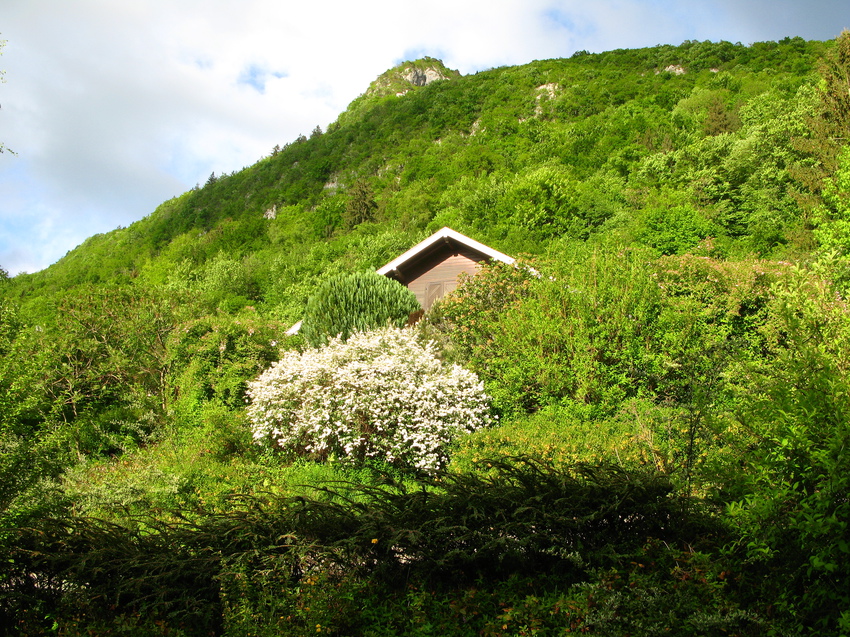 Annecy-le-Vieux 2015