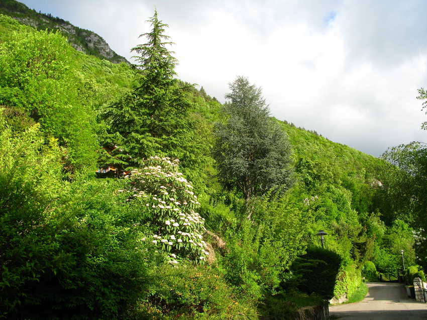 Annecy-le-Vieux 2015