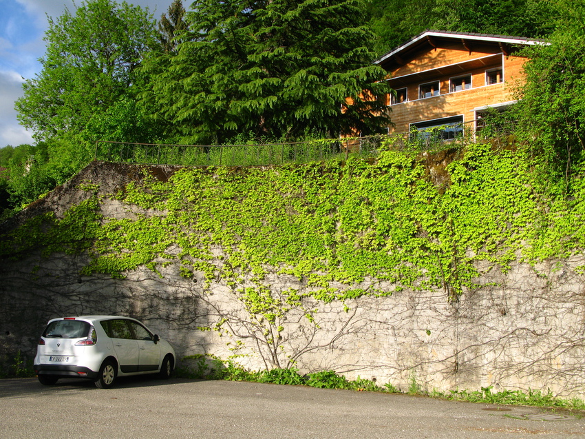 Annecy-le-Vieux 2014