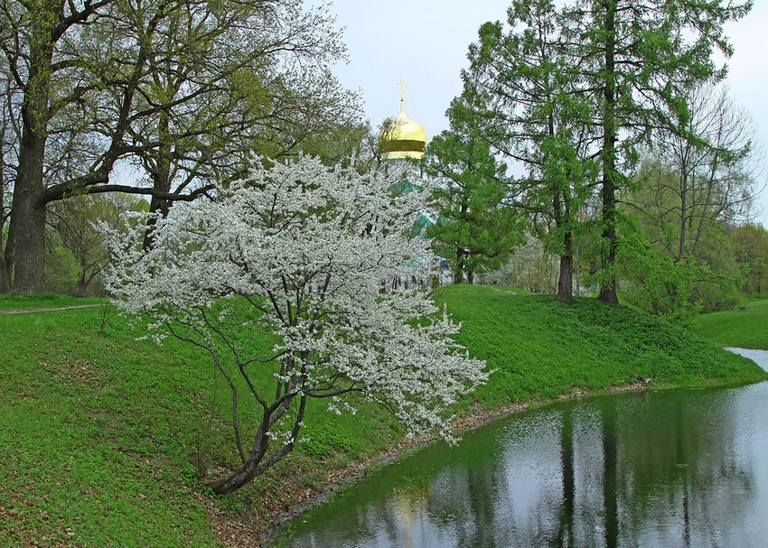 Фермский парк