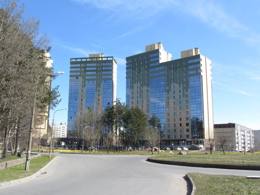 улица Петра Великого, Сосновый Бор