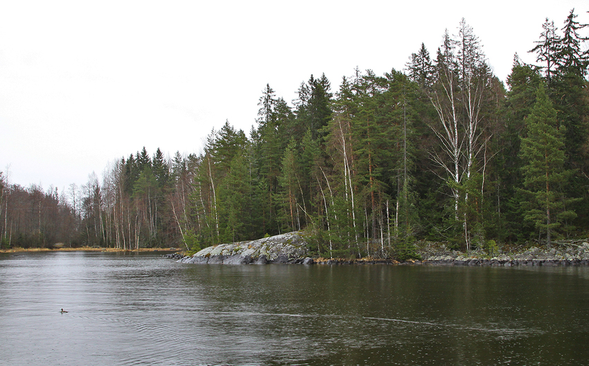 Озеро Ванаявеси