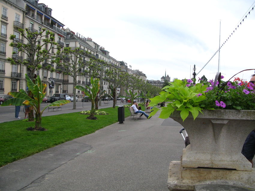 Genève 2015