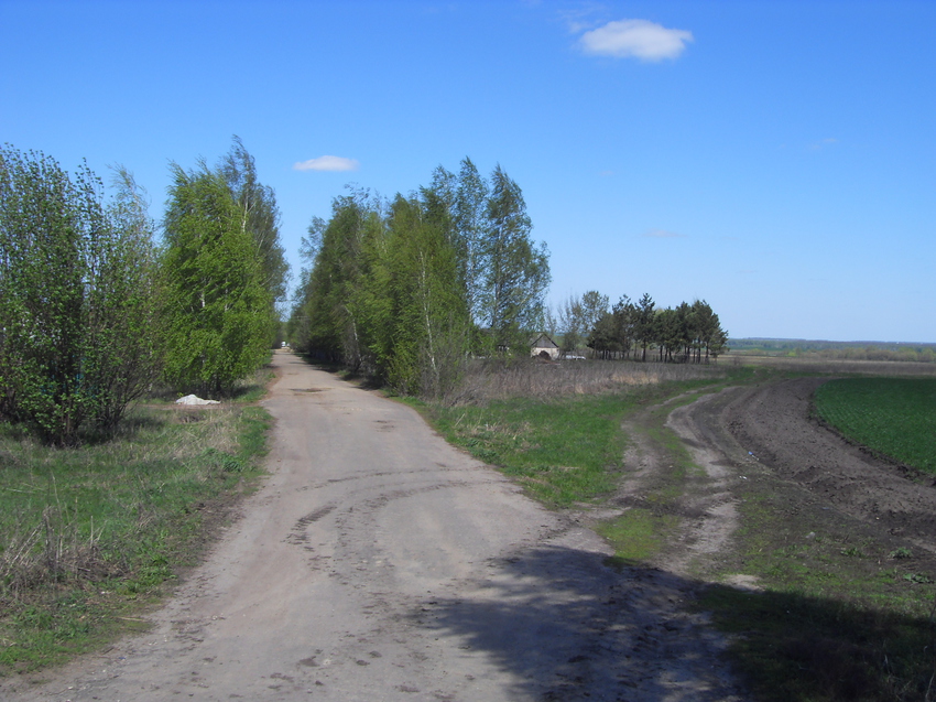 Дорога в Тростниково