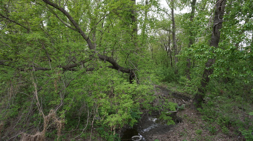 Речка Елшанка.