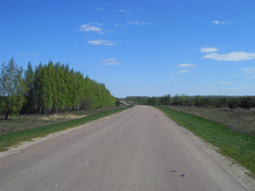 Вязовое. Дорога на Покровское