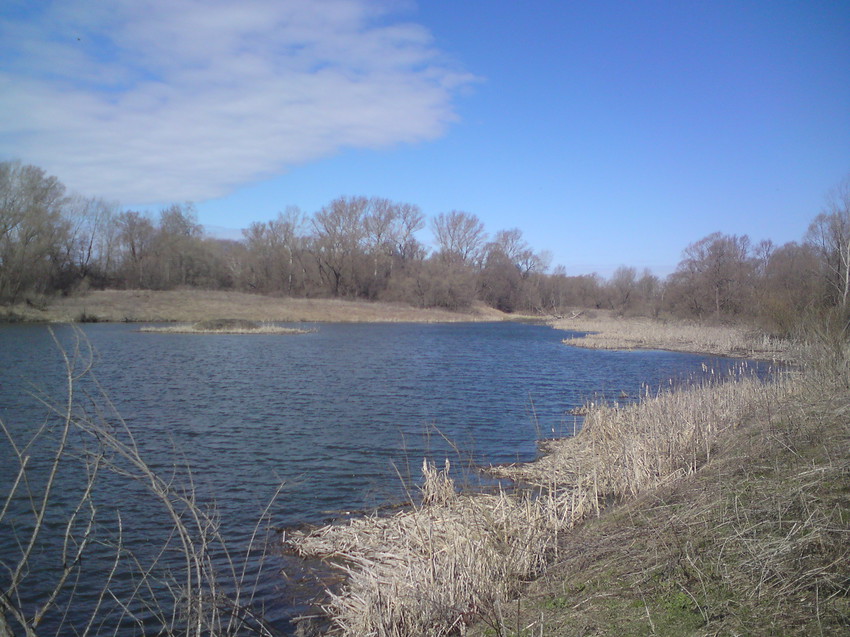 Кубань. Апрельская природа