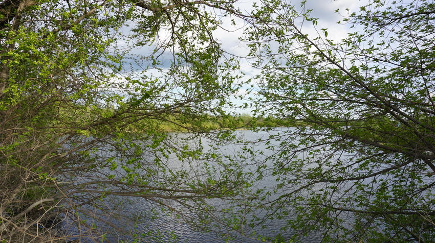 Озеро без названия...