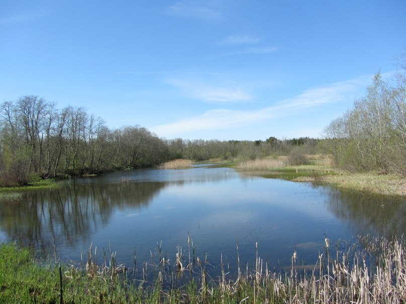 Большой Сабск