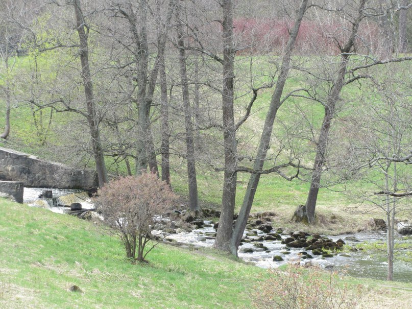 Ломоносов, парк