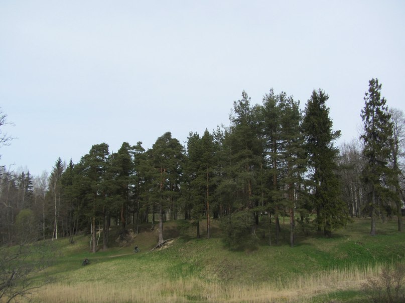 Ломоносов, парк