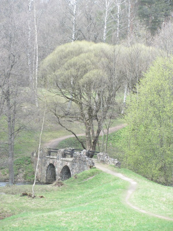 Ломоносов, парк