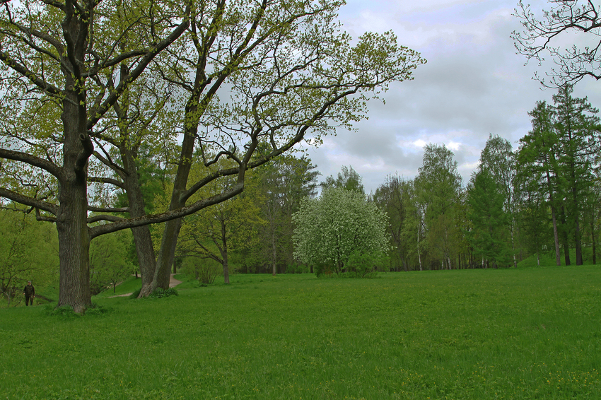 Александровский парк