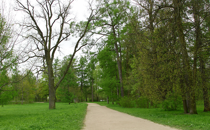Александровский парк