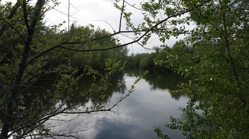 Озеро Песчаное.