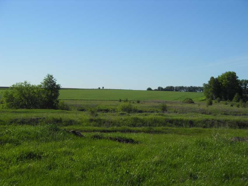 Зелёная долина