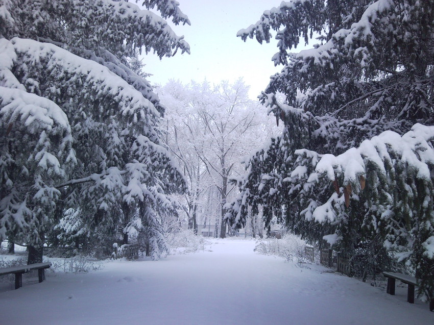 Чарівна зима