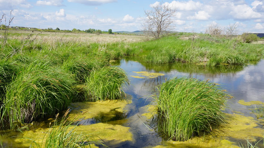 Окрестности Орска.