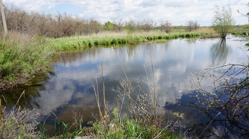 Орск.Окрестности.