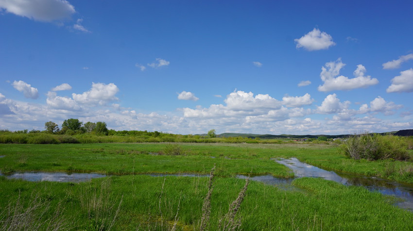 Орск.Окрестности.
