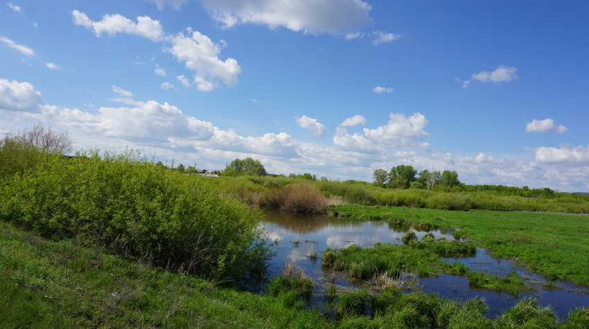 Строитель.Окрестности.